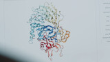 AlphaFold 2 di Google risolve uno dei più grandi problemi della biologia, il ripiegamento delle proteine