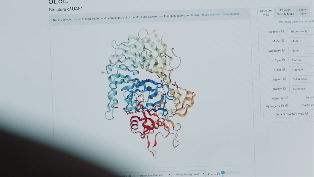 AlphaFold 2 di Google risolve uno dei più grandi problemi della biologia, il ripiegamento delle proteine