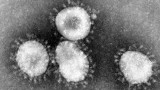 Hacker senza scrupoli sfruttano la psicosi relativa al coronavirus per diffondere il malware Emotet