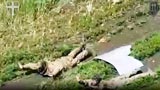 Guerra Russia-Ucraina: per la prima volta i soldati di sono arresi a robot e droni