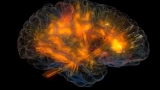 Nuovi memristori possono imitare il funzionamento del cervello umano