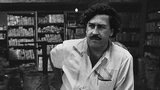 Escobar Inc.: una frode che porta il marchio del noto narcotrafficante, il CEO confessa