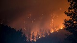 Incendi in California: Google dona 1,5 milioni di dollari
