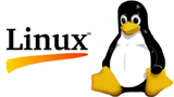 Linux minacciato dal cloud? Un dibattito senza risposte certe