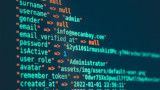 Perplexity impone l'uso dell'AI: produttività degli sviluppatori moltiplicata