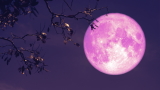 Luna delle Fragole 2025 in Italia: oggi il fenomeno astronomico più atteso! Ecco come vederla