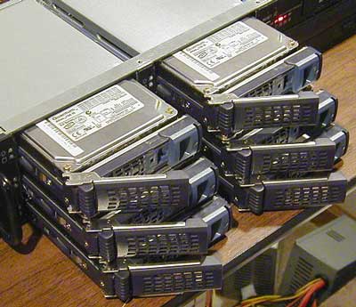 array1.jpg